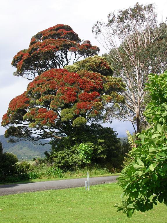 Karamea Holiday Park Dış mekan fotoğraf